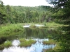 Salmon Lake outlet